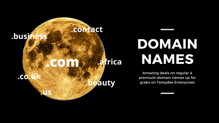 domain name registration deals on TemydeeDigital