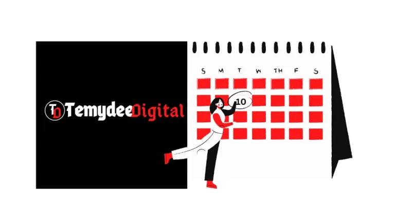 book a free call with temydeedigital consulting services