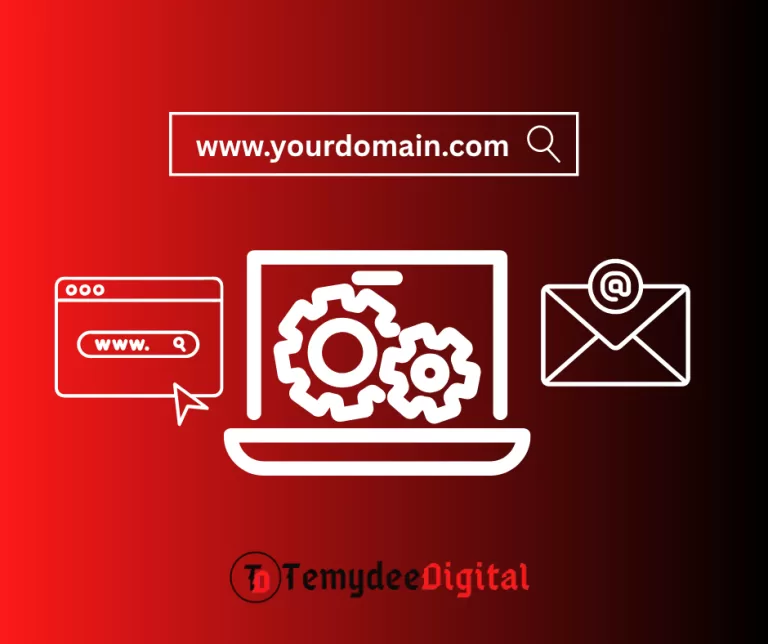 Domain DNS Configuration Services on TemydeeDigital
